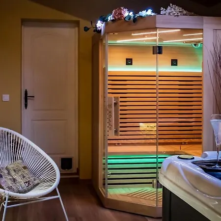 3 D'hotes De Charme Avec Jacuzzi & Sauna Au Clos De La Leze Lägenhet Lezat-sur-Leze
