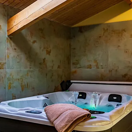 Διαμέρισμα 3 Chambres D'Hotes De Charme Avec Jacuzzi & Sauna Au Clos De La Leze Lezat-sur-Leze